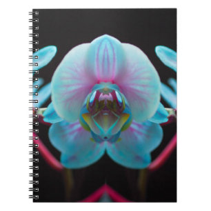 Caderno Espiral Reflexão Orquídea Azul Exótica