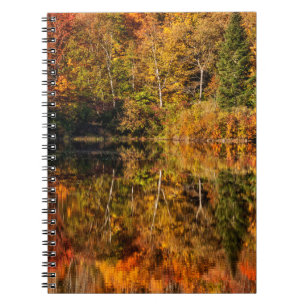 Caderno Espiral Reflexo de outono no Coffin Pond