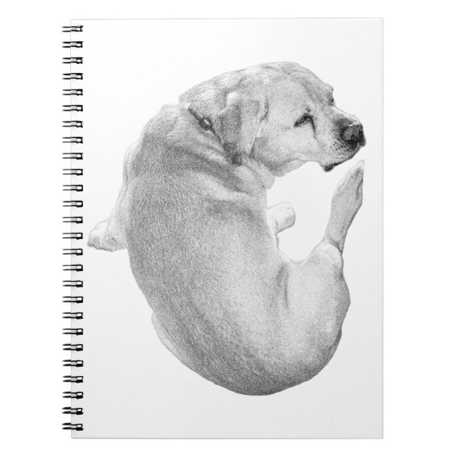 Caderno Espiral Reflexões Curadas (Frente)