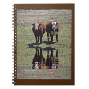 Caderno Espiral Reflexões de Vaca