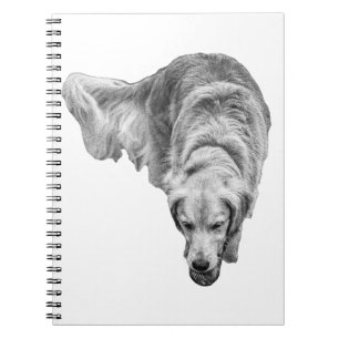 Caderno Espiral Reflexões do Fosco Dawn