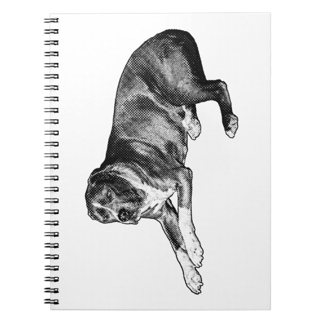 Caderno Espiral Reflexões Dotadas - Notebook de Cachorro Meio-Tona (Frente)