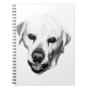 Caderno Espiral Reflexões na Tinta