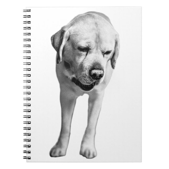 Caderno Espiral Reflexões na Tinta (Frente)
