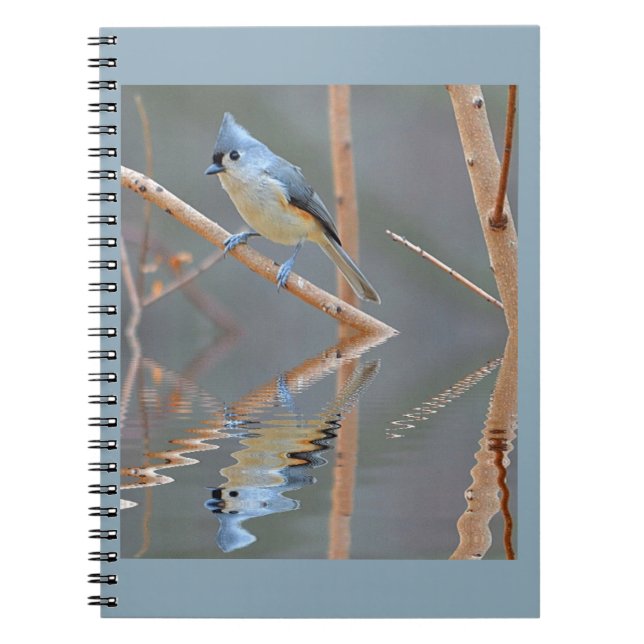 Caderno Espiral Reflexões sobre aves bonito (Frente)