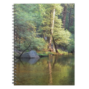 Caderno Espiral Reflexões verdes