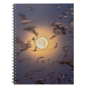 Caderno Espiral Refúgio Nacional de Vida Selvagem Bosque del Apach