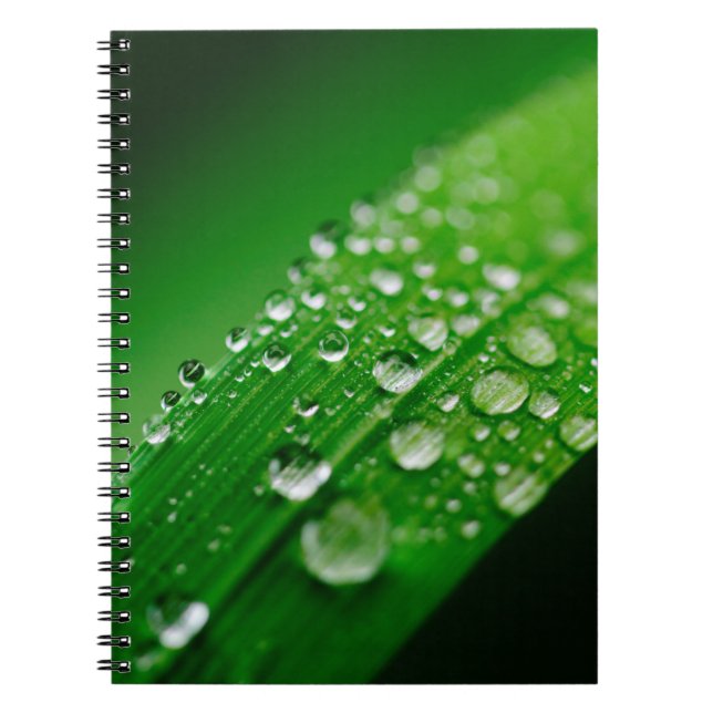 Caderno Espiral relva-verde-branca (Frente)