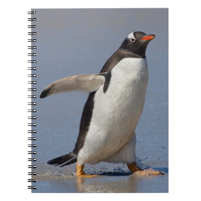 Caderno Espiral Remando Gentoo Notebook (Frente)
