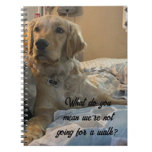 Caderno Espiral Remi o Ouro Retriever