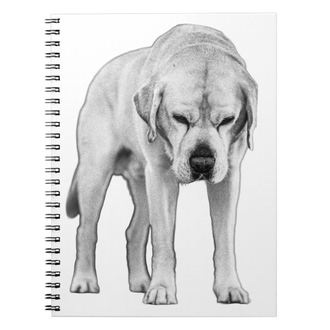 Caderno Espiral Resolução Enchida (Frente)