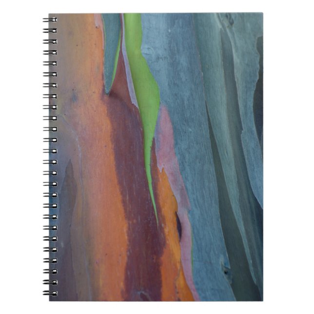 Caderno Espiral Resumo da Árvore de Goma Arco-Íris (Frente)