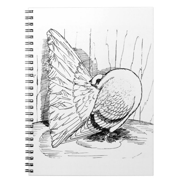 Caderno Espiral Reta 1978 (Frente)
