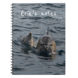 Caderno Espiral Retrato aproximado de golfinhos, Tasmânia, Austrál