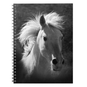 Caderno Espiral Retrato Cavalo V