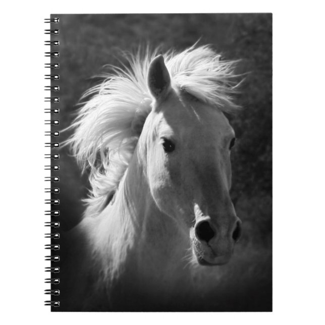 Caderno Espiral Retrato Cavalo V (Frente)