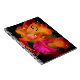 Caderno Espiral Retrato da Cattleya Orchid