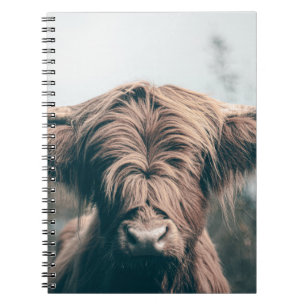 Caderno Espiral Retrato das vacas do planalto