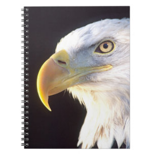 Caderno Espiral Retrato de Águia Americana, Haliaeetus leucocephal