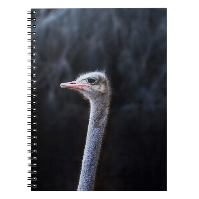 Caderno Espiral retrato de avestruz (Frente)