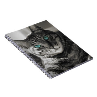 Caderno Espiral Retrato de Gato Tabby Olhar Silencioso Alma de Saf