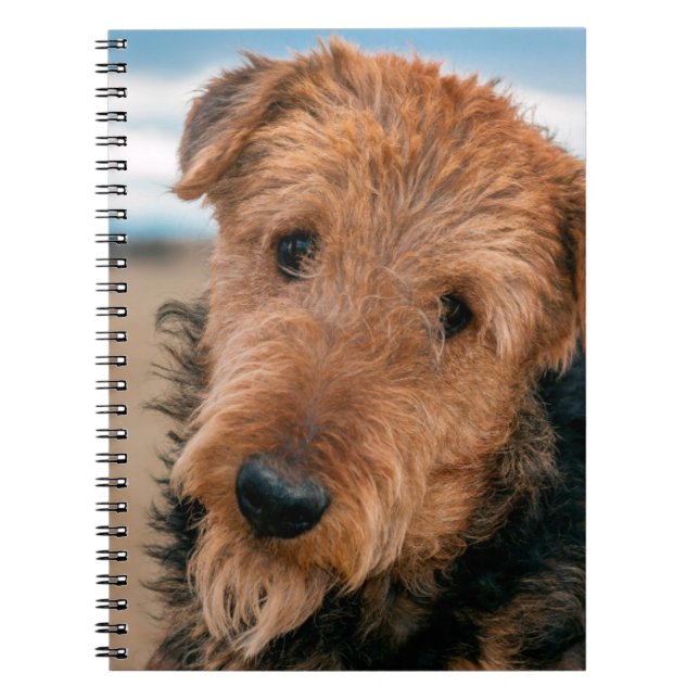 Caderno Espiral Retrato de um Airedale Terrier (Frente)