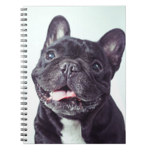 Caderno Espiral Retrato de um Bulldog Francês Feliz