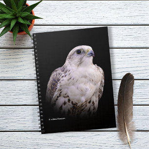 Caderno Espiral Retrato de um Falcão de Saker Inquisitivo