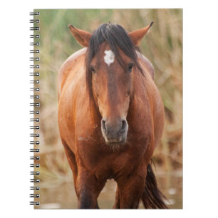 Caderno Espiral Retrato de um Mustang Selvagem
