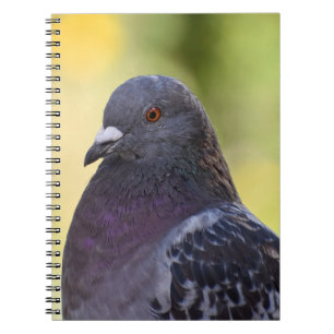 Caderno Espiral Retrato De Um Pombo