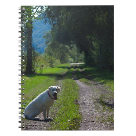 Caderno Espiral Retrato de um recuperador de ouro sentado