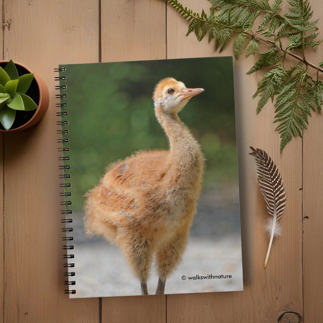 Caderno Espiral Retrato de uma grua de Sandhill (Portrait of a Sandhill Crane Colt Journal Cover Photo)