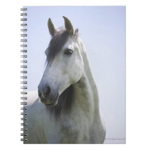 Caderno Espiral retrato do cavalo branco