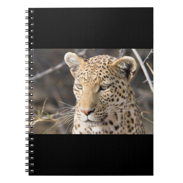 Caderno Espiral Retrato leopardo (Frente)