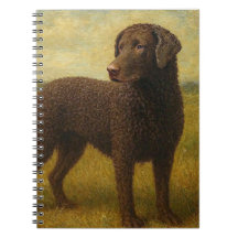Retriever de Cabelo Ondulado