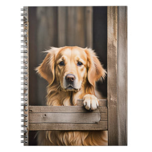 Caderno Espiral Retriever De ouro Na Janela Barn