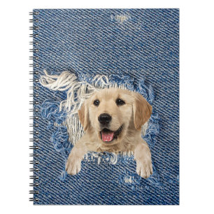 Caderno Espiral Retriever de ouro no Buraco Denim