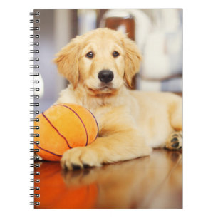 Caderno Espiral Retriever Ouro Com Brinquedo De Basquete
