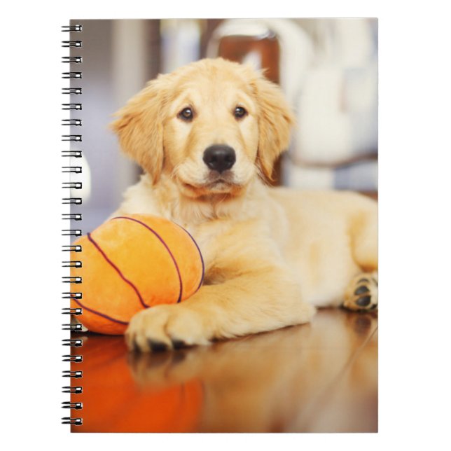 Caderno Espiral Retriever Ouro Com Brinquedo De Basquete (Frente)