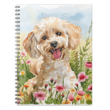 Revista Poodle – Notas da Mãe de Cachorro