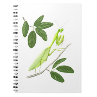 Caderno Espiral Rezando Mantis Notebook