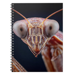 Caderno Espiral Rezando o notebook retrato Mantis