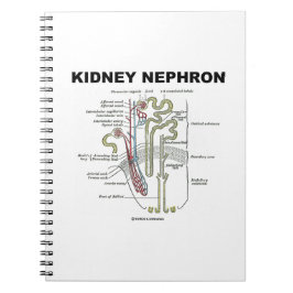 Caderno Espiral Rim Nephron (livro de Anatomia de Cinza)