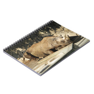 Caderno Espiral Rino dormindo