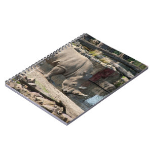 Caderno Espiral Rinoceronte