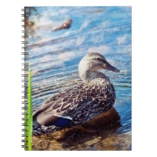Caderno Espiral Ripples de Discagem