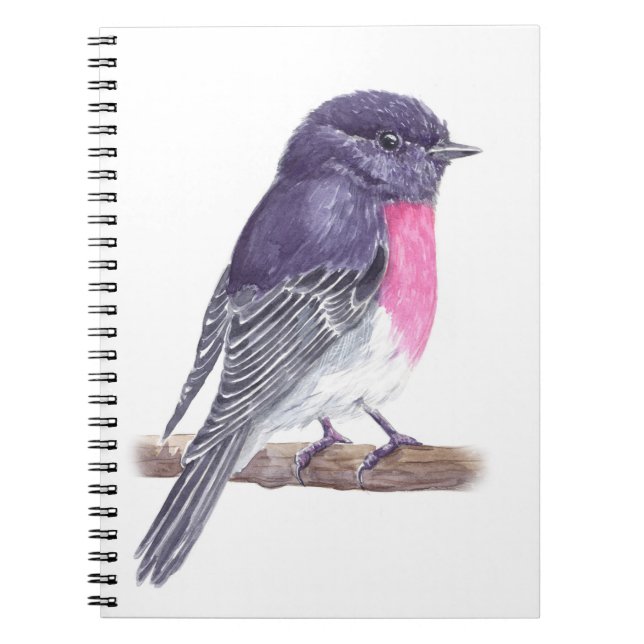 Caderno Espiral Robin (Frente)