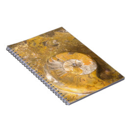 Caderno Espiral Rocha que contem muitos fósseis & foto da amonite
