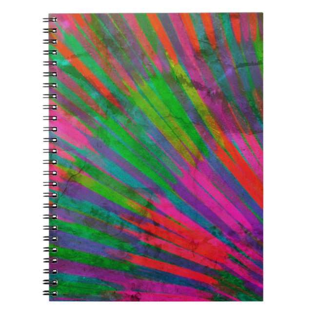 Caderno Espiral Roda de cores  (Frente)
