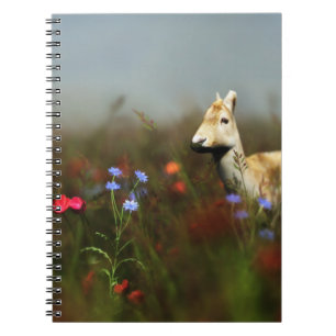 Caderno Espiral Roe em um notebook paralelo